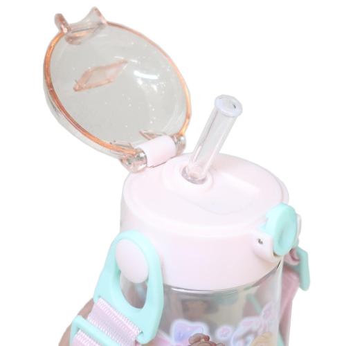 ディズニープリンセス 水筒 ワンプッシュストローボトル 480ml ディズニー キャラクター グッズ