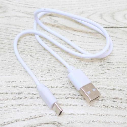 ポチャッコ 携帯用扇風機 カラビナ付きminiFAN サンリオ キャラクター グッズ