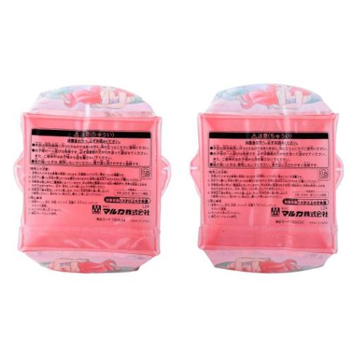 ディズニープリンセス 腕用浮き輪 アームリング ディズニー キャラクター グッズ