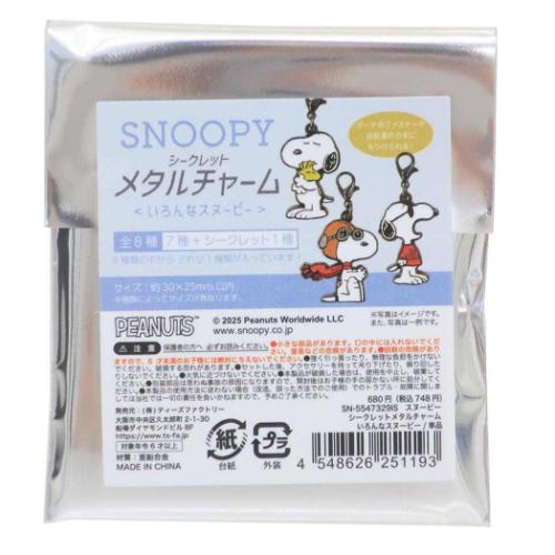 スヌーピー キーホルダー シークレットメタルチャーム 全8種の内どれか1個 いろんなスヌーピー ピーナッツ メール便可