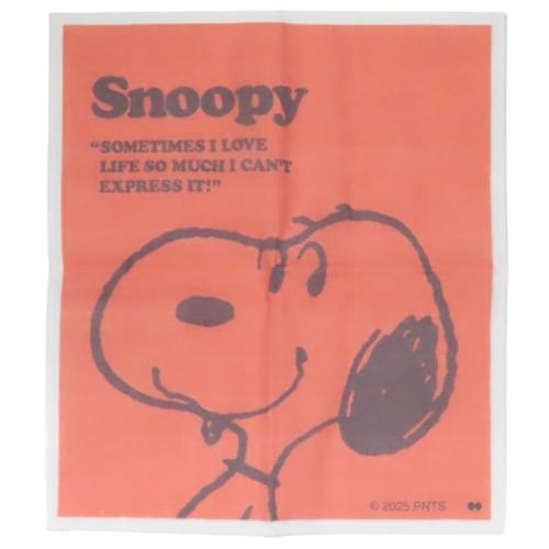 スヌーピー ふきん かや生地ふきん SNOOPY RD ピーナッツ キャラクター グッズ メール便可