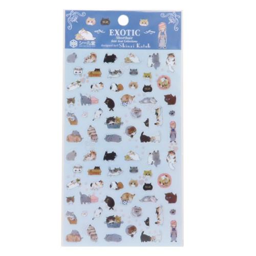 シール シートシール Exotic Shorthair かわいい グッズ メール便可