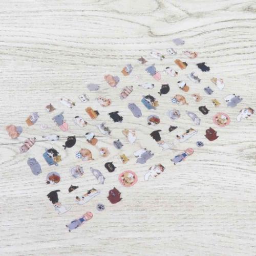 シール シートシール Exotic Shorthair かわいい グッズ メール便可