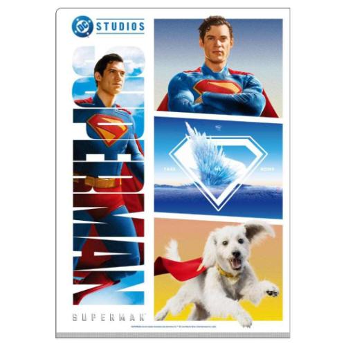 SUPERMAN スーパーマン ポケットファイル Wポケットクリアファイル A4 DCコミック 映画キャラクター グッズ メール便可