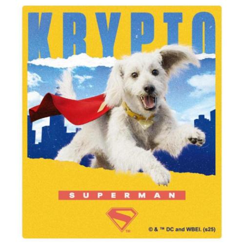 SUPERMAN スーパーマン ダイカットシール ミニステッカー C DCコミック 映画キャラクター グッズ メール便可