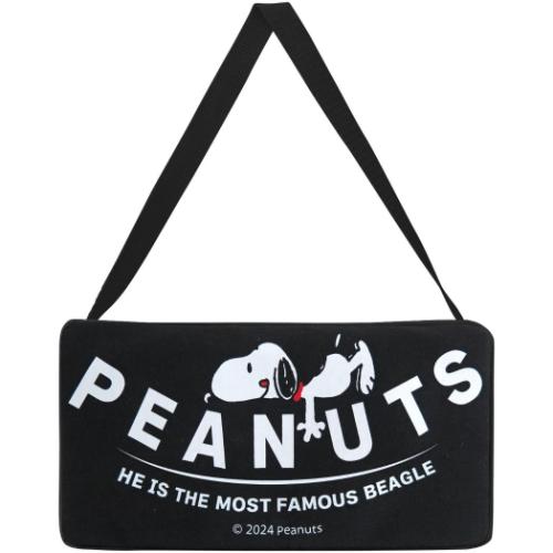 スヌーピー ティッシュカバー ティッシュケース ブラック ピーナッツ キャラクター グッズ メール便可