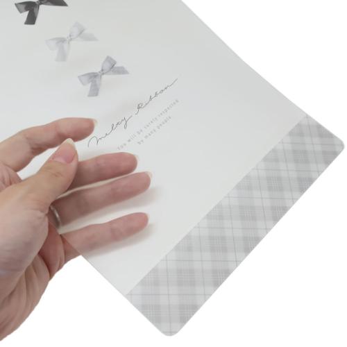 リボンステーショナリー 下敷き 下じき メルティリボン 中学生 高校生 女の子 グッズ メール便可