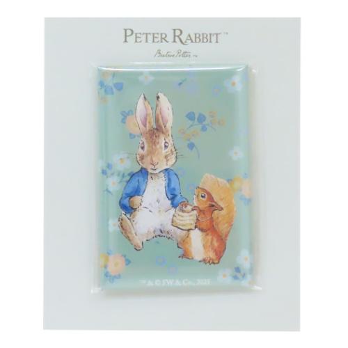 ピーターラビット 磁石 マグネット ピーターとナトキン 絵本キャラクター グッズ メール便可