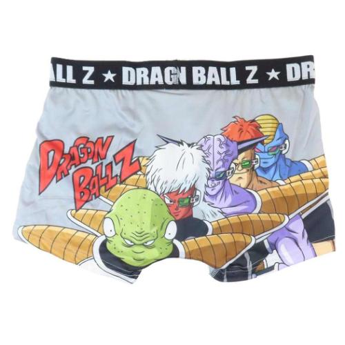 ドラゴンボール 男性用下着 転写ボクサーブリーフ ギニュー特戦隊 GY アニメキャラクター グッズ メール便可