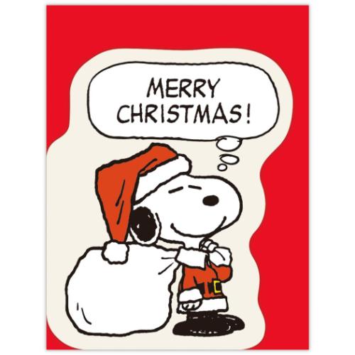 スヌーピー クリスマスカード ミニカード SNサンタクロース ピーナッツ メッセージカード キャラクター グッズ メール便可