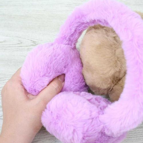 耳あて イヤーマフ EAR MUFF 防寒 グッズ