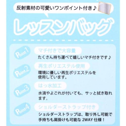 ミッフィー お稽古かばん レッスンバック ネイビーエレガント ディックブルーナ 絵本キャラクター グッズ