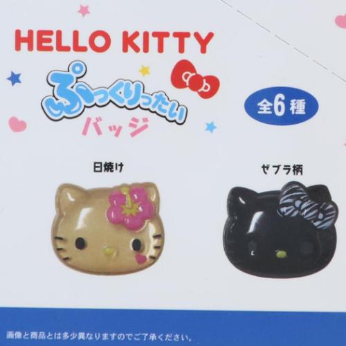 ハローキティ バッジ ぷっくりったいバッジ 全6種 6個入セット サンリオ キャラクター グッズ