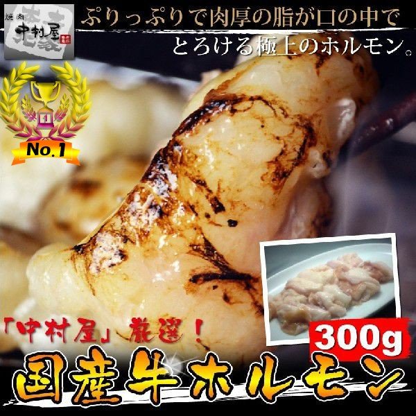岡山 中村屋 国産牛ホルモン 送料無料