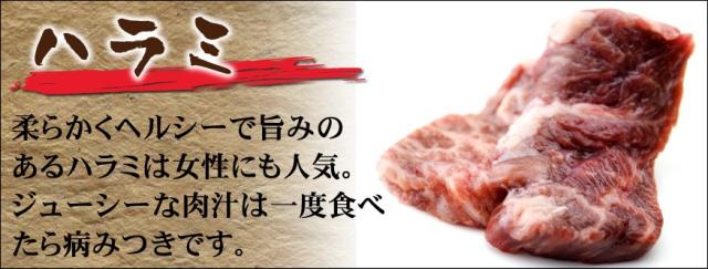 岡山 中村屋 バーベキューセット 送料無料