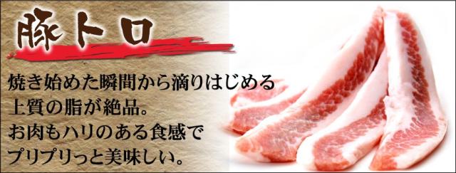 岡山 中村屋 バーベキューセット 送料無料