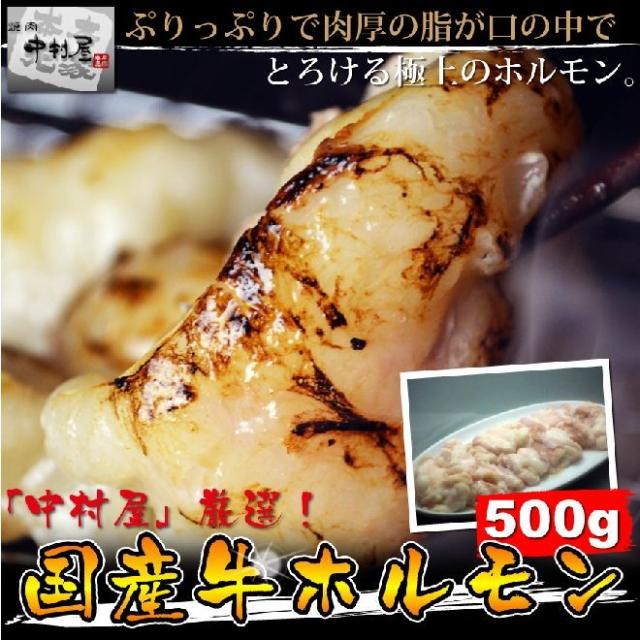 岡山 中村屋 国産牛ホルモン 送料無料