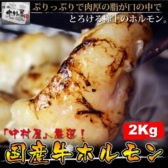 岡山 中村屋 国産牛ホルモン 送料無料