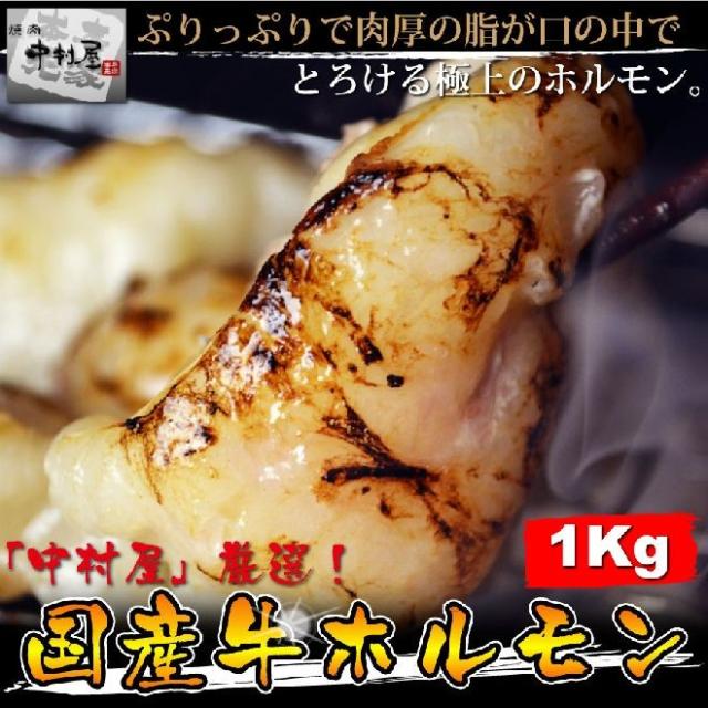 岡山 中村屋 国産牛ホルモン 送料無料