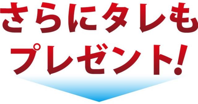 岡山 中村屋 バーベキューセット 送料無料