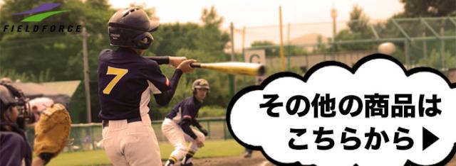 フィールドフォース