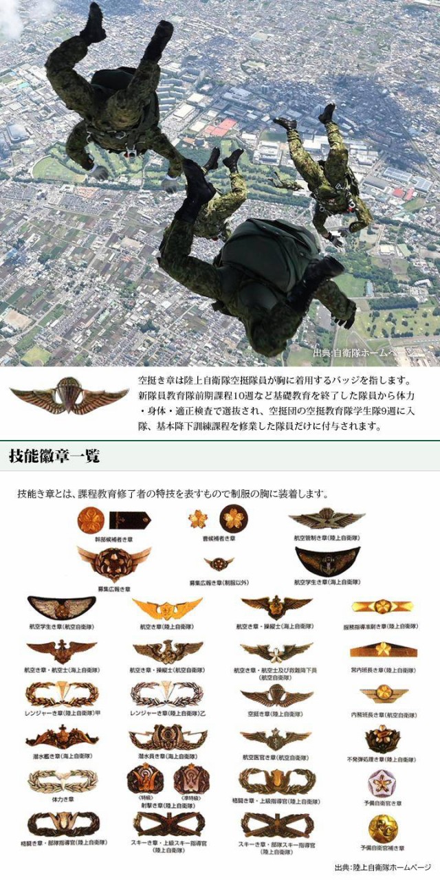 部隊章(陸上自衛隊/迷彩/ワッペン/ オリジナル/おみやげ/記念品
