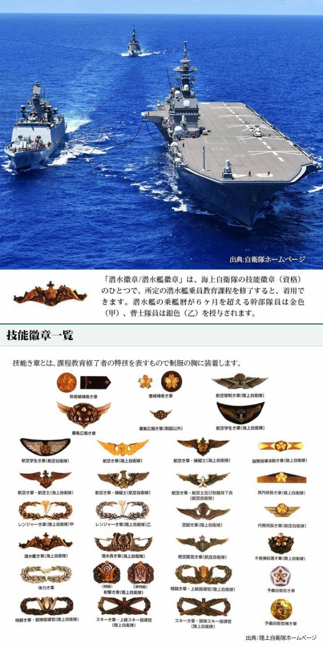 Amazon.co.jp: 自衛隊グッズ 缶バッチ ひゅうが ヘリコプター
