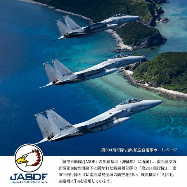jsdf_204th_3.jpg