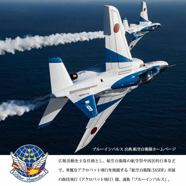 防衛省 自衛隊 グッズ 航空自衛隊 空自 ブルーインパルス キッズ オーバーオール つなぎ カバーオール パイロット フライトスーツ 飛行服