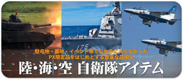 自衛隊 グッズ アグレッサー 飛行教導群 アグレス ドクロ 小松基地 F15