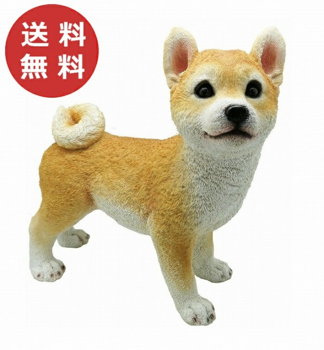 50 Off チアフルフレンズ 豆柴のコロ マメシバ 犬 いぬ イヌ Dog ドッグ ドック 置物 小物 オブジェ ガーデンオーナメント ガーデン 置物 オー 国産 Www Iacymperu Org