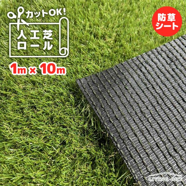 1×10m
