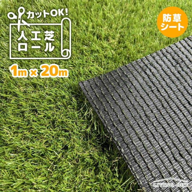 1×20m