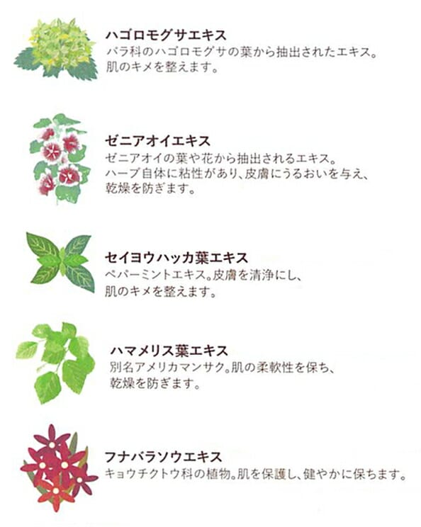 ナッシュクーディーピーバブルエッセンス100g