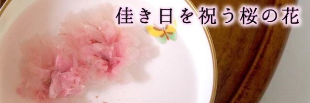 桜花漬けメール便
