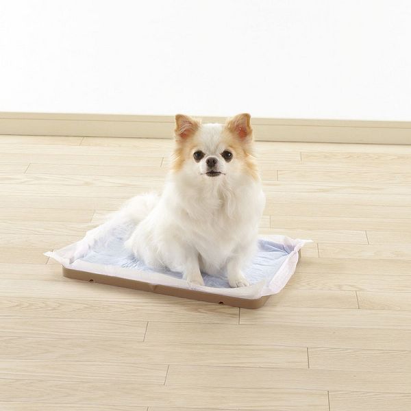 トイレ簡単持ち運びお出かけリッチェルシーツ犬リッチェルNおでかけシーツトレーレギュラー