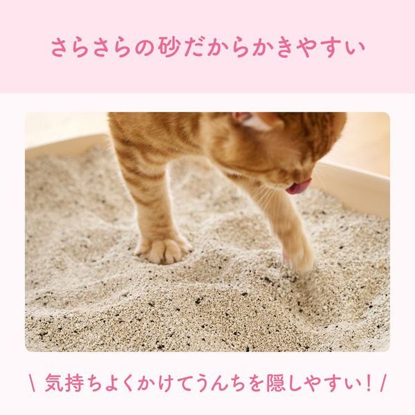 猫砂鉱物カチッと固まる消臭エリエールペットねこ砂ネコ砂トイレ砂ノーマルトイレキミおもいカチッと固まるネコ砂5L
