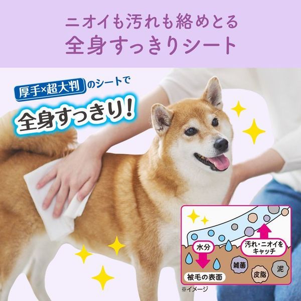 ペット用ウエット厚手超大判小型犬全身すっきり毛並み香料フリーエリエールペットなめても安心キミおもい全身すっきりシート小型犬用28枚 