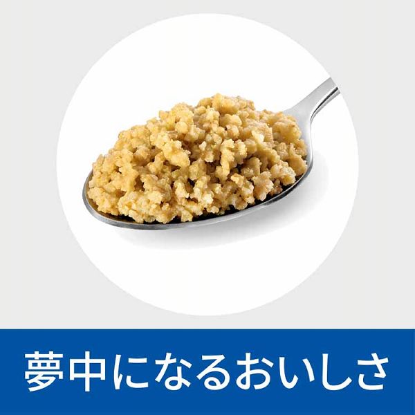 ドッグフードウエット缶Hills皮ふケア療法食オリジナル（犬用）オ−ルスキンバリア200g×12ヒルズ 