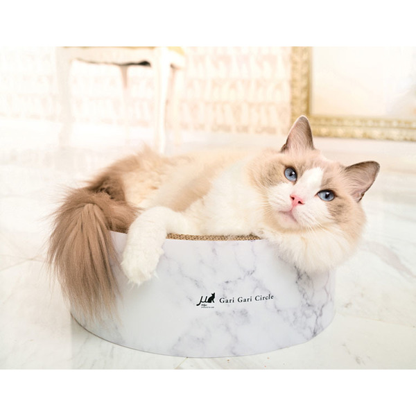 つめとぎガリガリ人気ベッド段ボール安心安全ガリガリサークルマーブル 