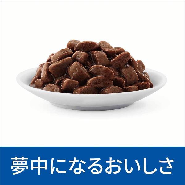 キャットフード腎臓ケア療法食ウェット鶏アダルト・シニア食事療法腎ケア腎機能低下予防リン・ナトリウム（猫用）キャットフード腎臓ケア療法食プリスクリプション・ダイエットパウチk/dやわらかチキン&グレイビーソース85g×12ヒルズ 