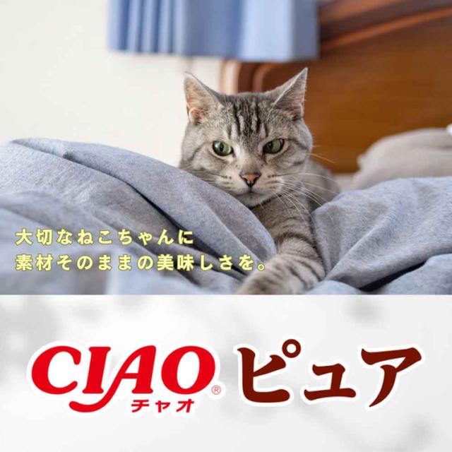 いなばちゅーるチュール猫用おやつピュアちゅ〜る無添加無着色無香料化学調味料不使用ペースト液状CIAOピュアちゅ〜る14g×4本入りいなばペットフード 