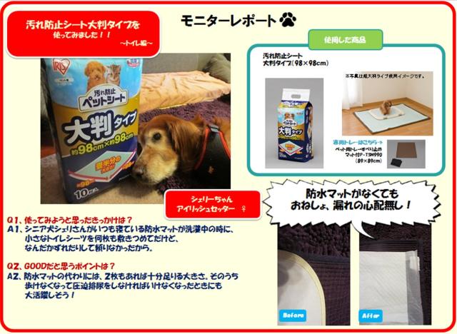 汚れ防止ペットシート 10枚 P-YES-10L アイリスオーヤマ