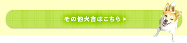 /user/44587536/shopcategory/1000212596