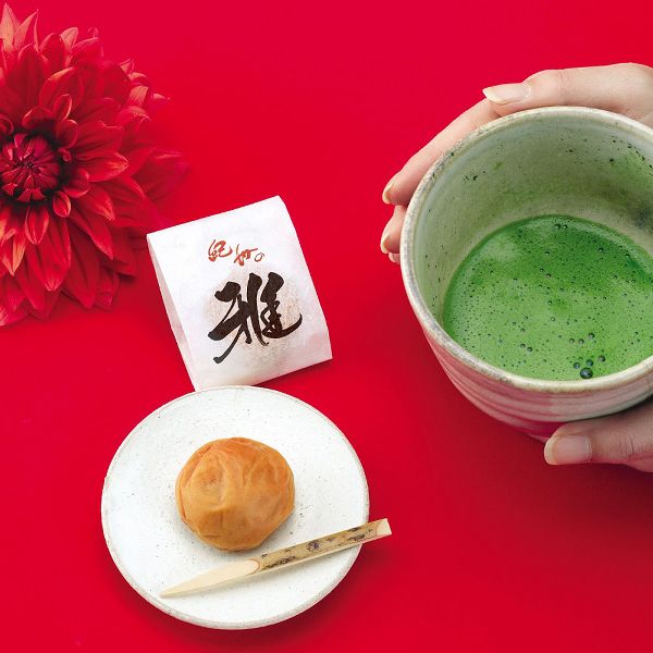 和歌山県紀州雅大粒塩分約4％ギフトプレゼントお土産お中元個包装紀州の雅　15粒 