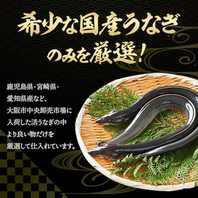 うなぎかば焼き国産鰻蒲焼冷凍400g目利き厳選大阪中央卸売市場土用【2尾】特大鰻（約200g/尾）Tokka 