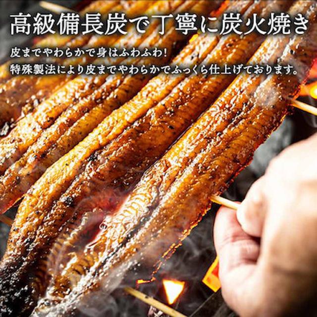 うなぎかば焼き国産鰻蒲焼冷凍400g目利き厳選大阪中央卸売市場土用【2尾】特大鰻（約200g/尾）Tokka 