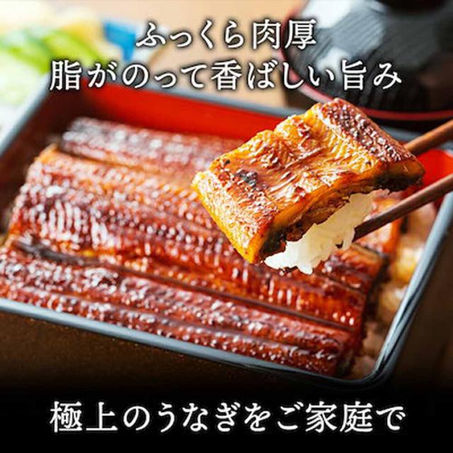 うなぎかば焼き国産鰻蒲焼冷凍400g目利き厳選大阪中央卸売市場土用【2尾】特大鰻（約200g/尾）Tokka 