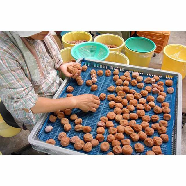 梅干し和歌山紀州南高梅シソハチミツ2個セット老舗訳あり高級自家農園手作りつぶれ【2個】梅干し400gTokka