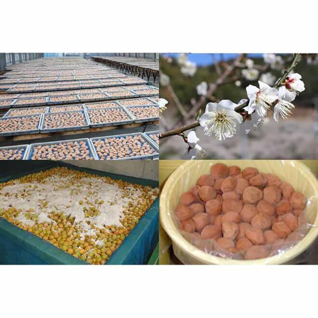 梅干し和歌山紀州南高梅シソハチミツ2個セット老舗訳あり高級自家農園手作りつぶれ【2個】梅干し400gTokka